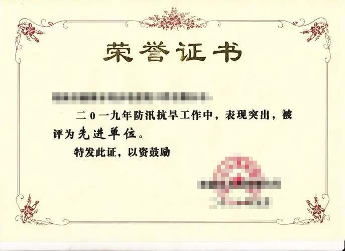 Honorary Certificate 3